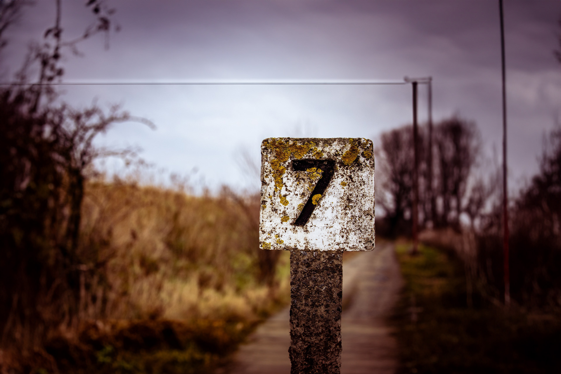 Het getal nummer 7